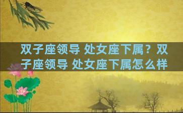 双子座领导 处女座下属？双子座领导 处女座下属怎么样